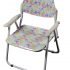 Folding Baby Chair - P.P. Printed - With Arms - Multi Colour Butterfly