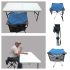 Folding Camping Stool, Extended Height